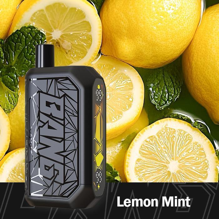 BECO SHISHA 18000 PUFFS (3MG)