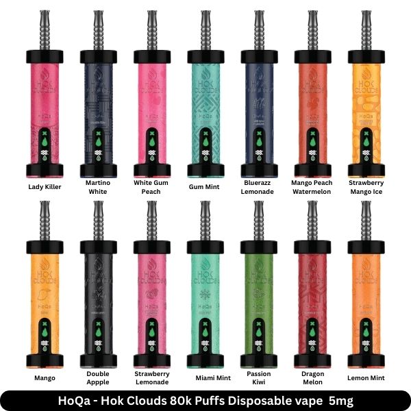 HoQa Disposable Vape Devices