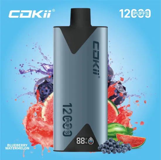 COOKI ZERO NIC DISPOSABLE 12000 puffs