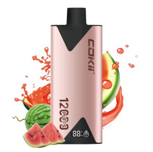 COOKI ZERO NIC DISPOSABLE 12000 puffs