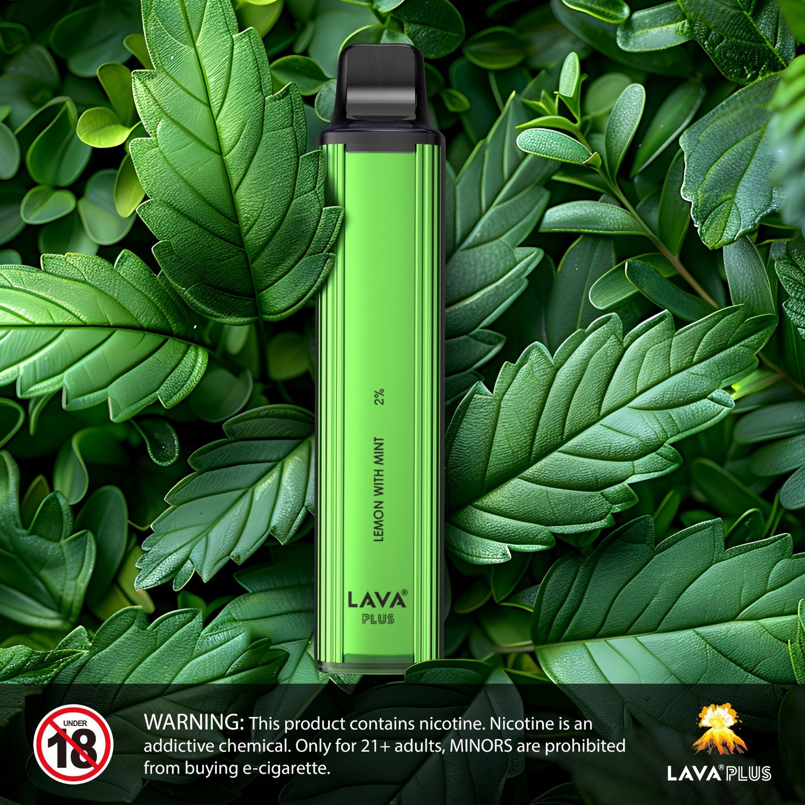 LAVA PLUS 4000 PUFFS-20MG DISPOSABLE VAPE