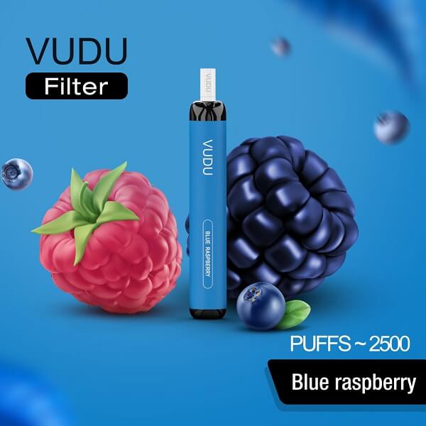 VUDU FILTER DISPOSABLE  (2500)